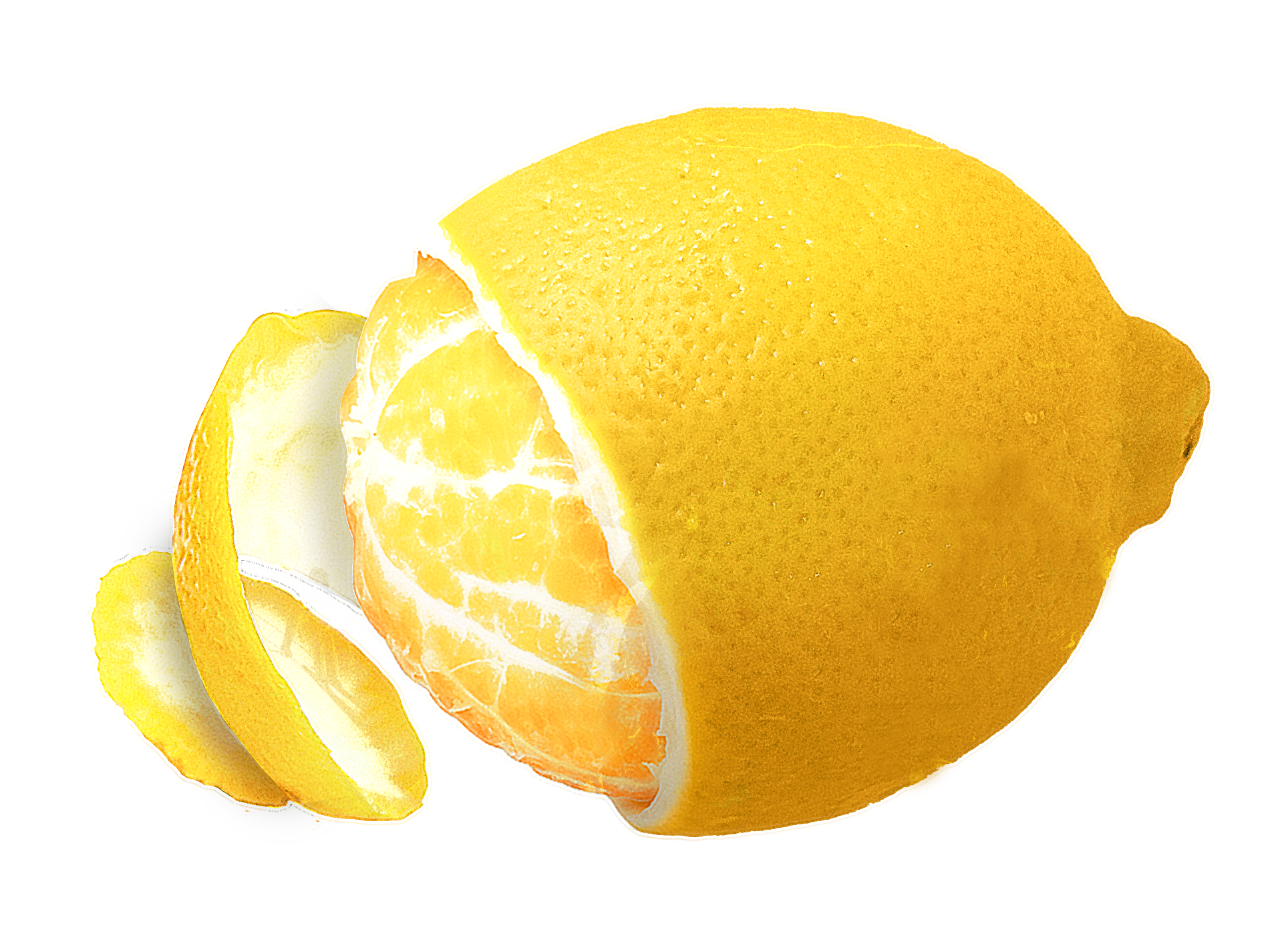 My journey, becoming Mumma Cello